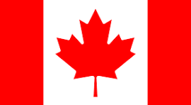 Bandiera Stati Uniti